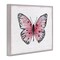 Stupell Industries Pink Toned Vintage Butterfly Framed Giclee, design by Janet Tava